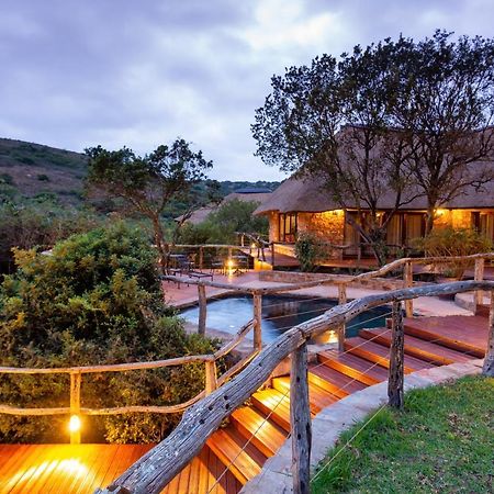Lalibela Game Reserve Mark'S Camp Grahamstown Exteriör bild