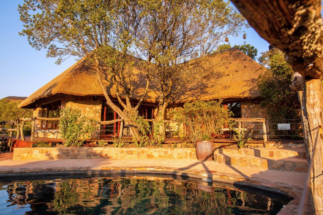 Lalibela Game Reserve Mark'S Camp Grahamstown Exteriör bild