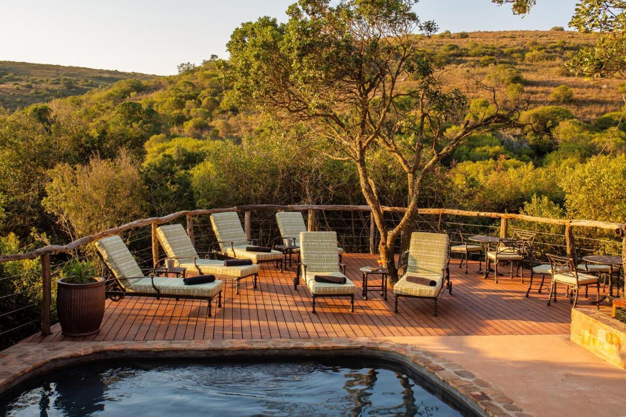 Lalibela Game Reserve Mark'S Camp Grahamstown Exteriör bild