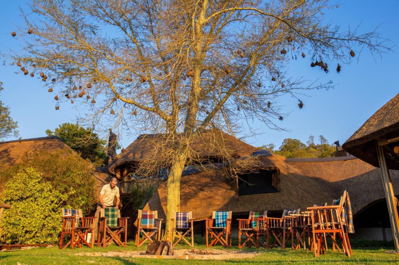 Lalibela Game Reserve Mark'S Camp Grahamstown Exteriör bild
