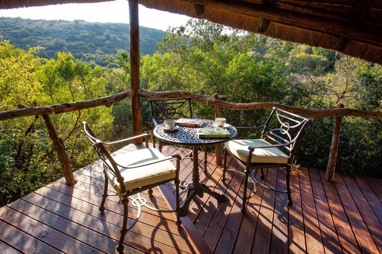 Lalibela Game Reserve Mark'S Camp Grahamstown Exteriör bild