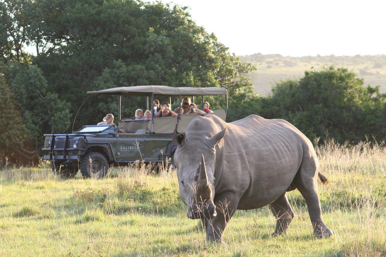 Lalibela Game Reserve Mark'S Camp Grahamstown Exteriör bild