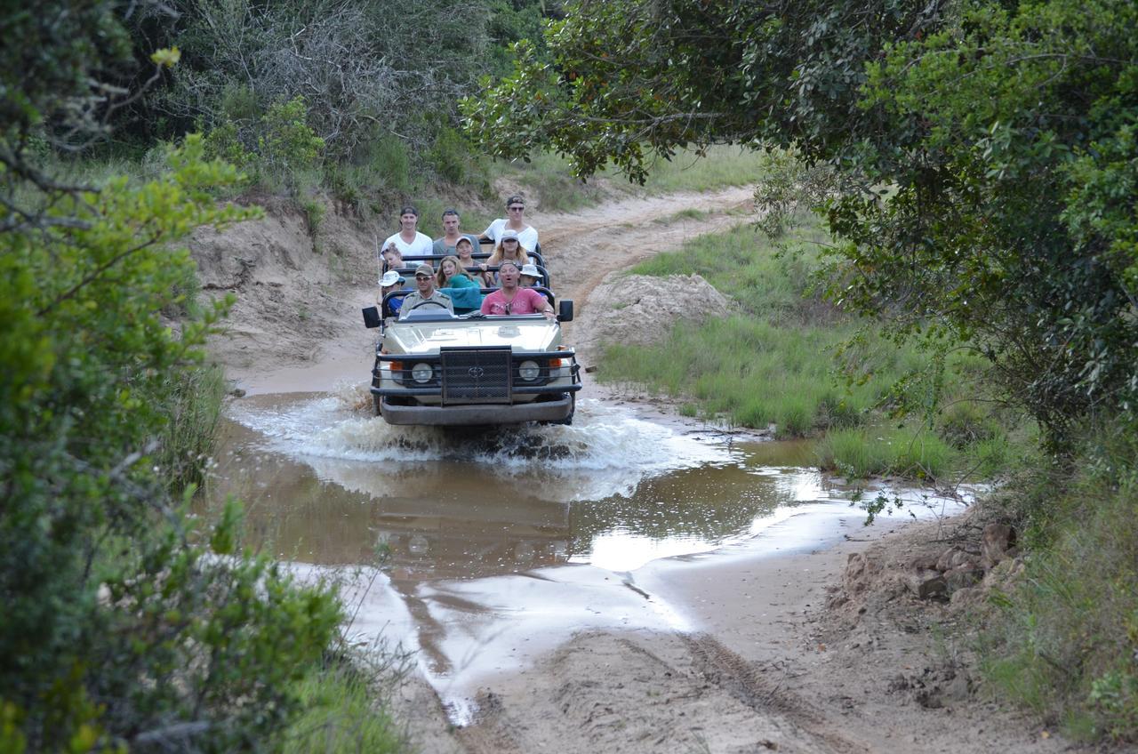 Lalibela Game Reserve Mark'S Camp Grahamstown Exteriör bild