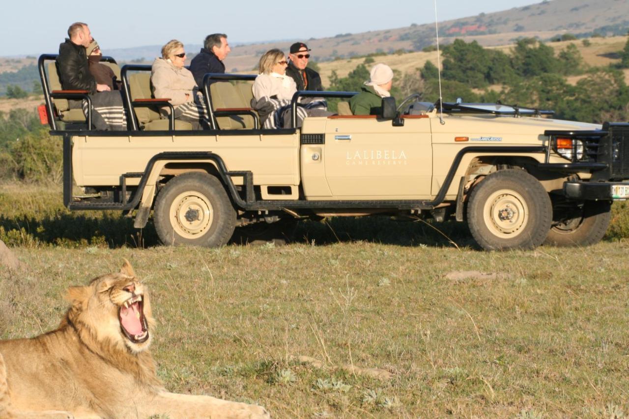 Lalibela Game Reserve Mark'S Camp Grahamstown Exteriör bild